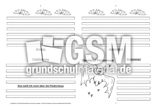 Fledermaus-Faltbuch-vierseitig-3.pdf